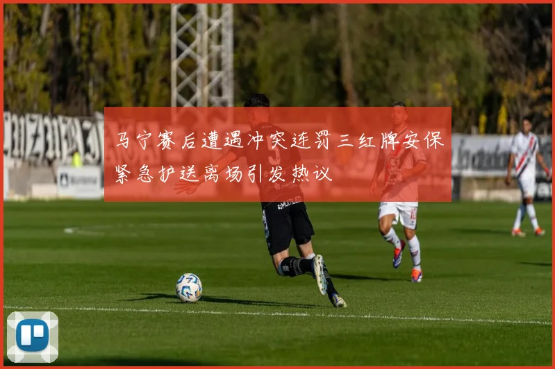 马宁赛后遭遇冲突连罚三红牌安保紧急护送离场引发热议