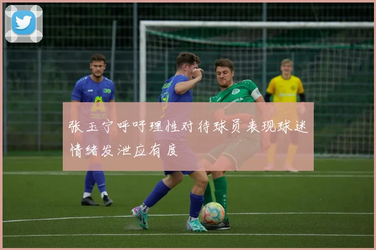 张玉宁呼吁理性对待球员表现球迷情绪发泄应有度