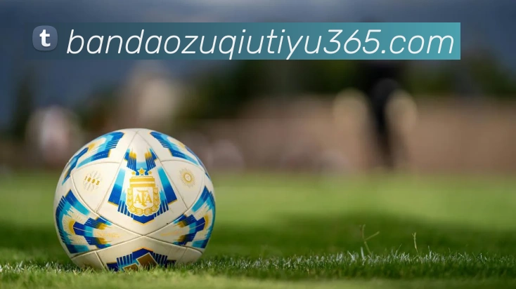 半岛体育发展历程