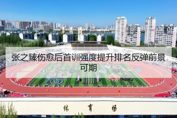 张之臻伤愈后首训强度提升排名反弹前景可期 | bandao